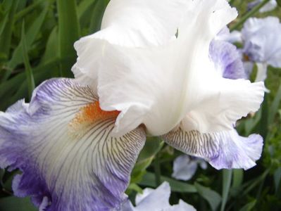 P1390283
