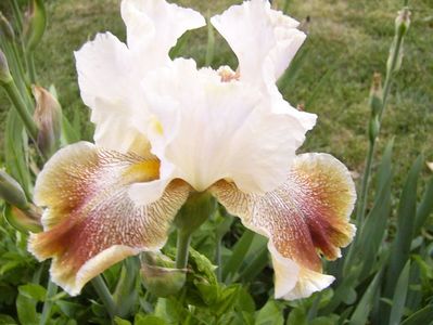 P1390286