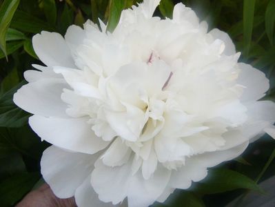 P1390314