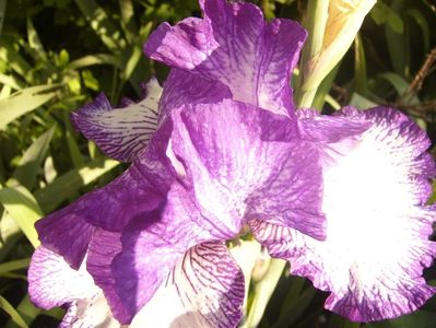P1390336