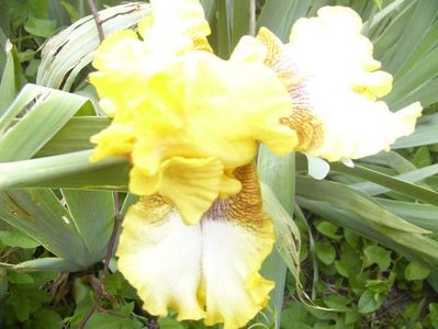 P1390338