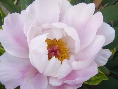 P1390341