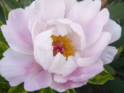 P1390342