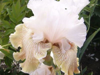 P1390358