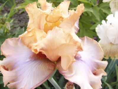 P1390360