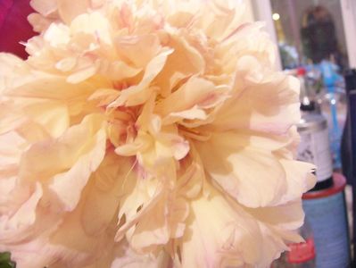 P1390372