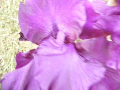 P1390389