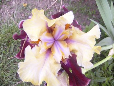 P1390393