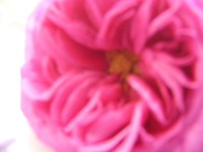 P1390403