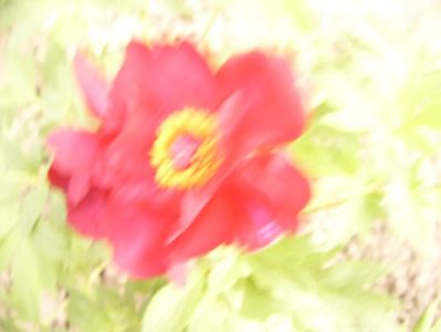 P1390488