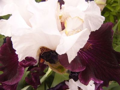 P1390519