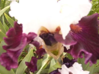 P1390522