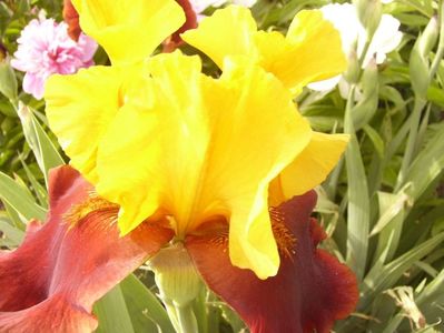 P1390551