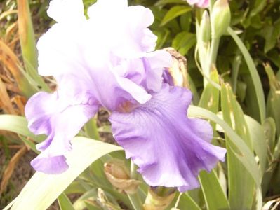 P1390552