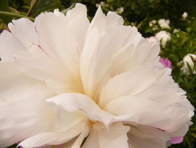 P1390568