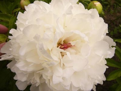 P1390578