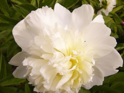 P1390579