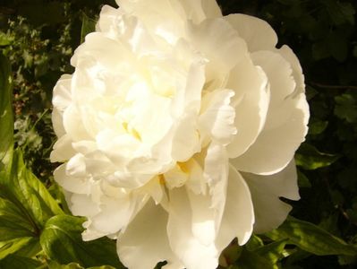 P1390587