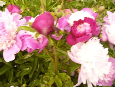P1390603