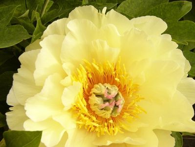 P1390608