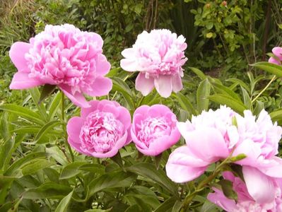 P1390634