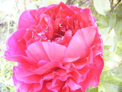 P1390653