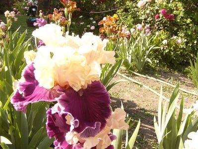 P1390676