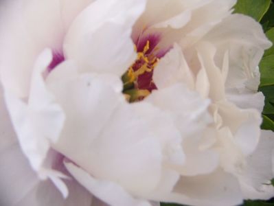 P1390692