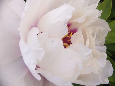 P1390693