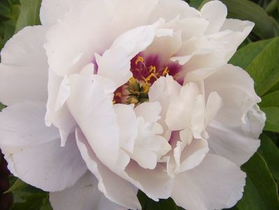 P1390694