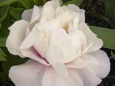 P1390697