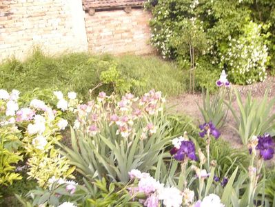 P1390698