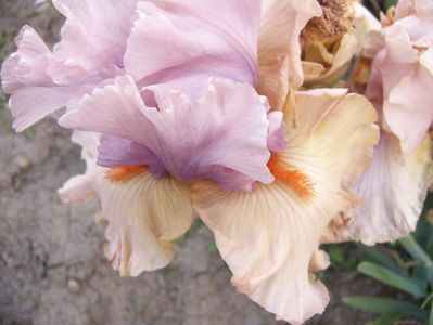P1390710