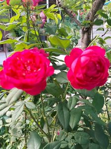 IMG20220615165914