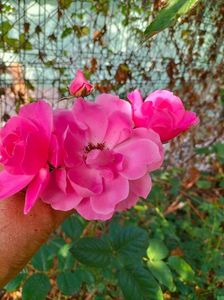 IMG20220615165844