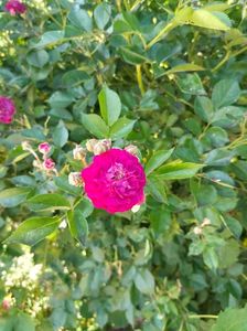 IMG20220615164412
