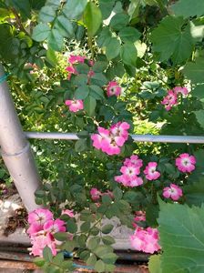 IMG20220615164405