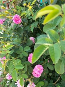 IMG20220615164316