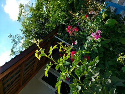 IMG20220615164223