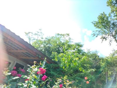 IMG20220615164221