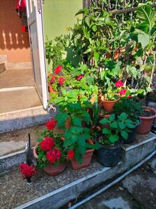 IMG20220616084001