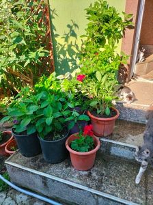 IMG20220616083958