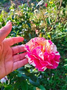 IMG20220616074312