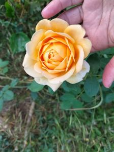 IMG20220616073854