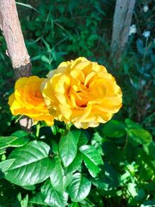 IMG20220616073049