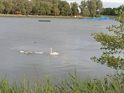Img.2022.06.13