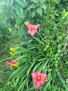 IMG20220616193438