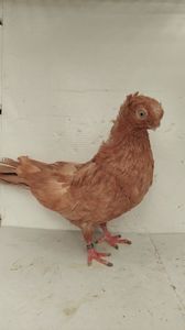 M 2020