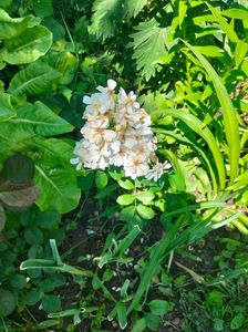 IMG20220618115149