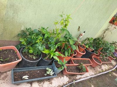IMG20220618115559